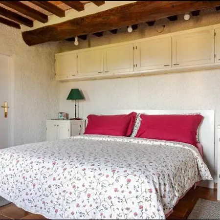 Apartment Iesa *